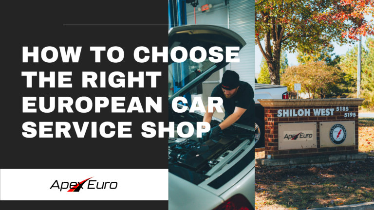 European Car Service Shop