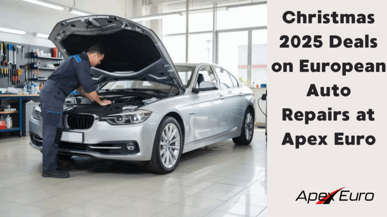 Apex Euro Holiday Service Discounts