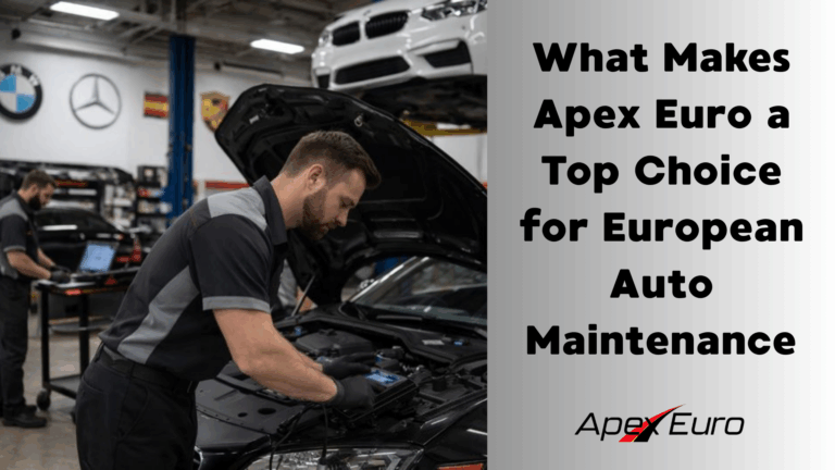 European auto maintenance