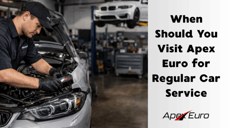 Regular Car Service at apex euro