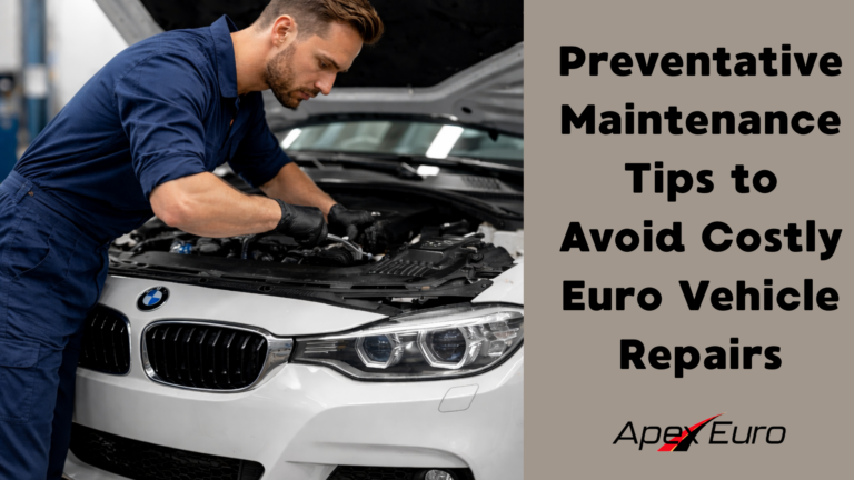 Euro Car Brake Inspection