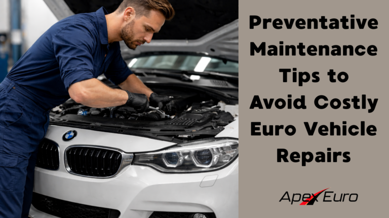 Euro Vehicle Maintenance Tips