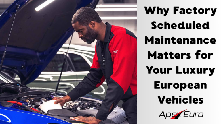 Luxury European Vehicle Maintenance
