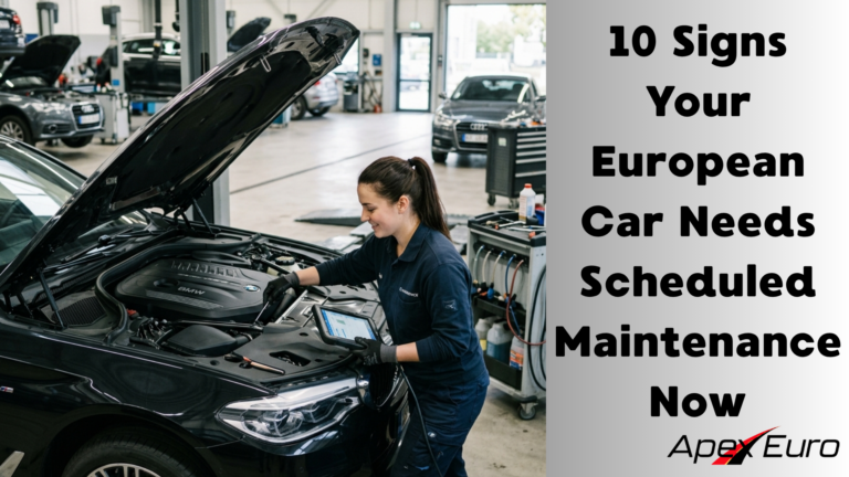 European Car Maintenance Schedule Signs
